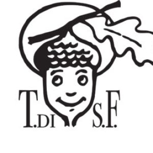 LOGO_TerreSanFelice